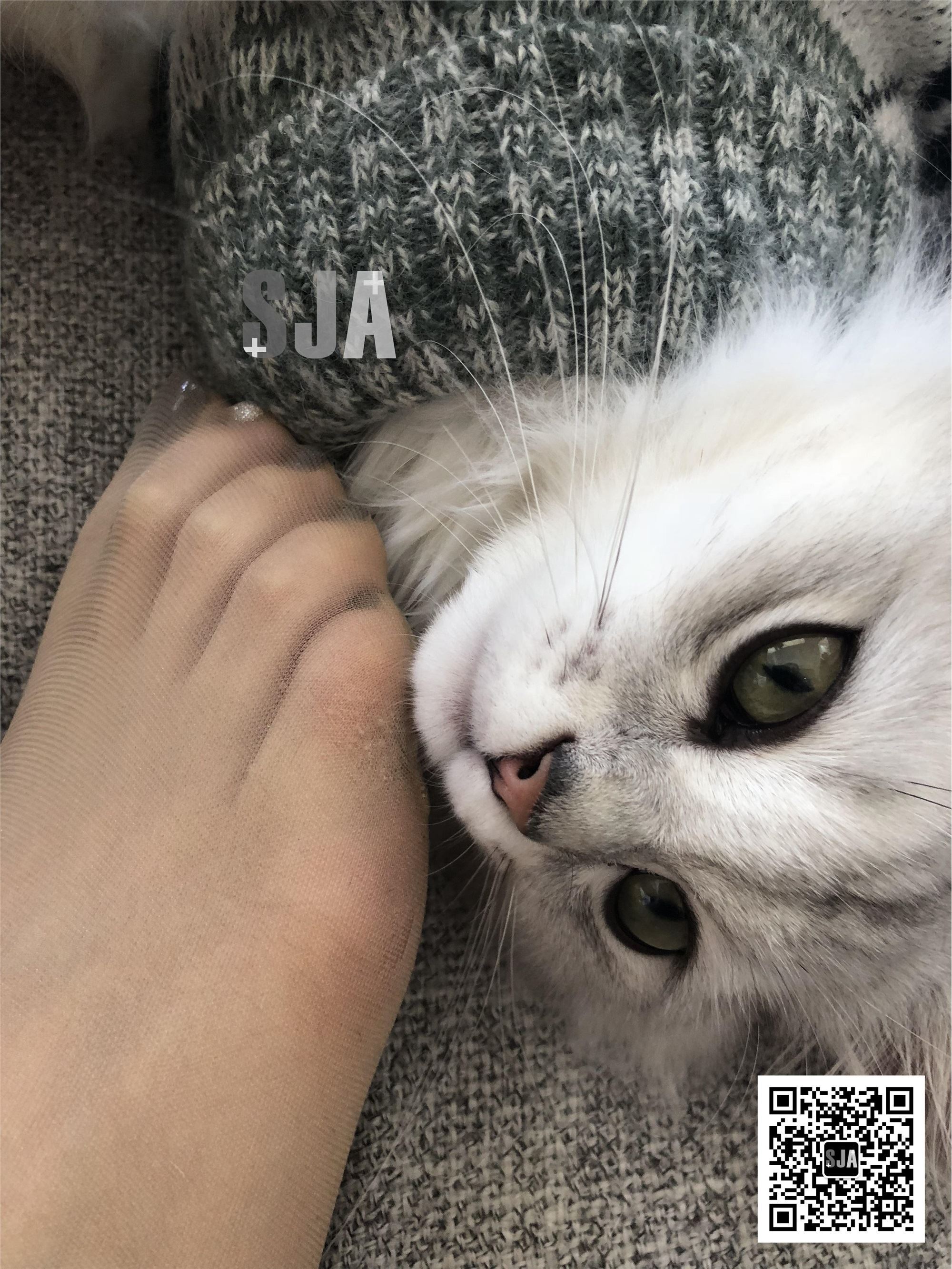 SJA佳爷 闺蜜视角 NO.013 喵